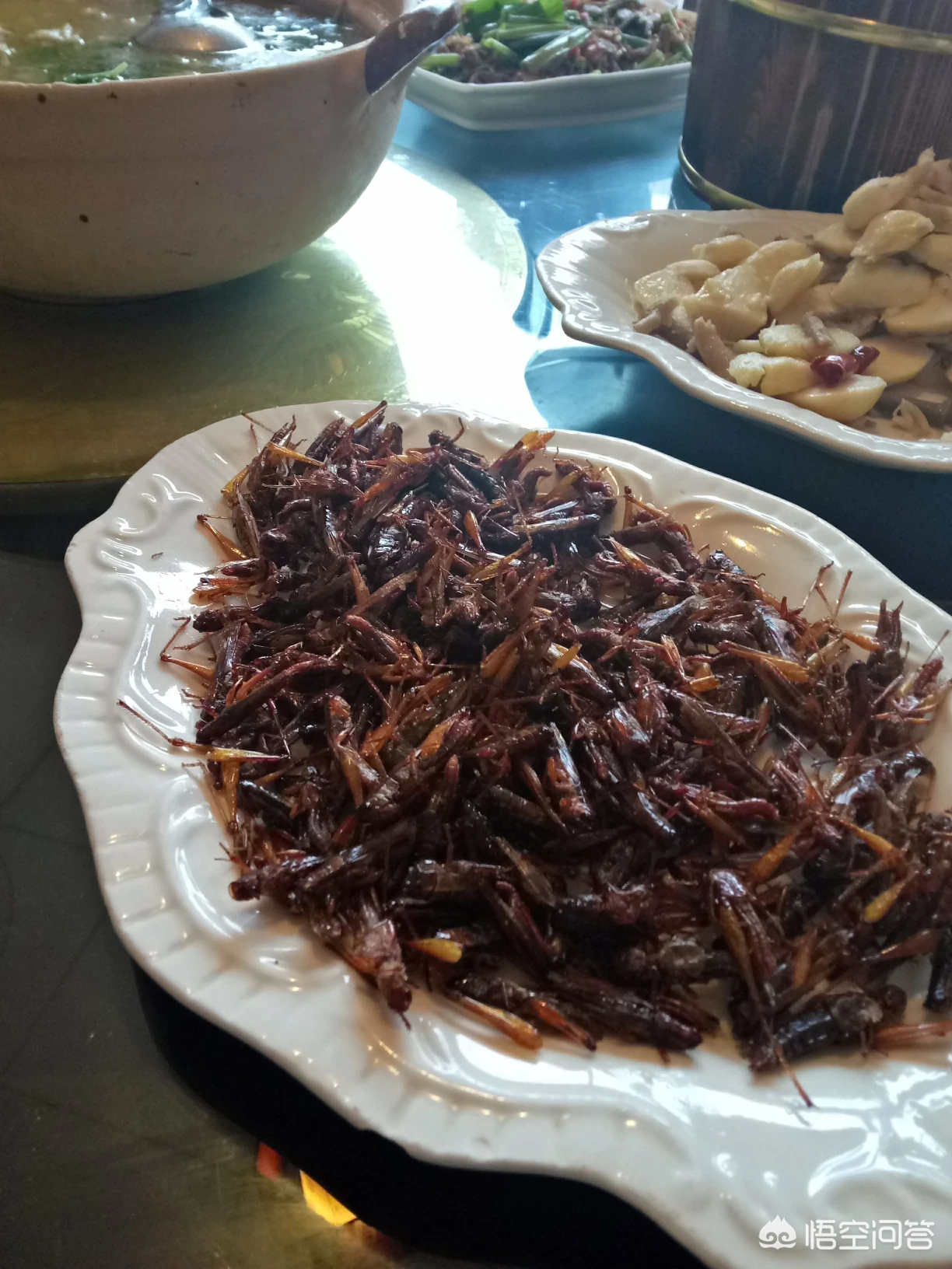 农田里的六种野味,大家都吃过吗?