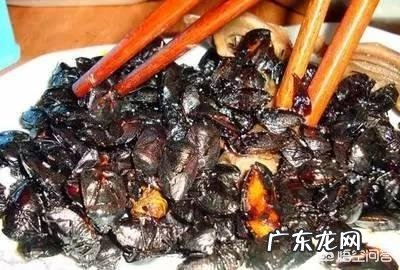 农田里的六种野味,大家都吃过吗?