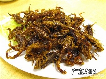 农田里的六种野味,大家都吃过吗?