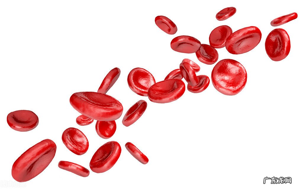 地中海贫血有什么后果 地中海贫血症是什么病