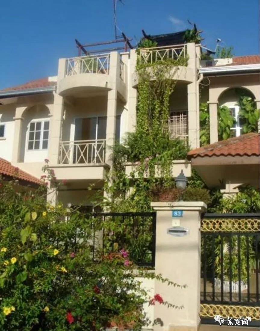 门口挡煞植物 挡煞的室外风水植物