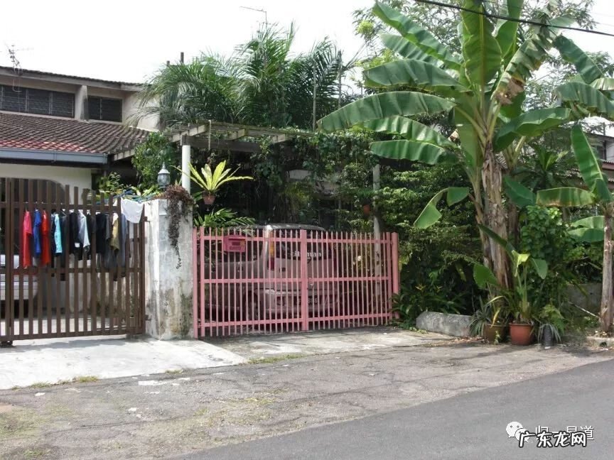 门口挡煞植物 挡煞的室外风水植物