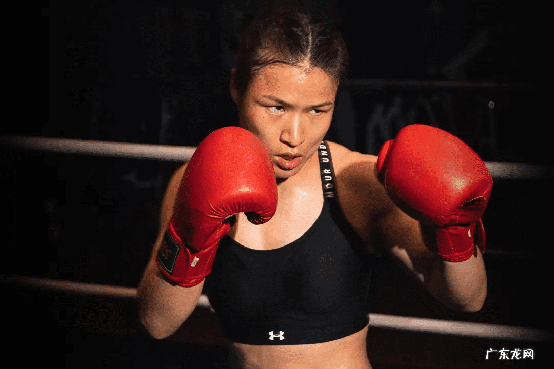 埃尔维斯利猫王 埃尔维斯普雷斯利公司