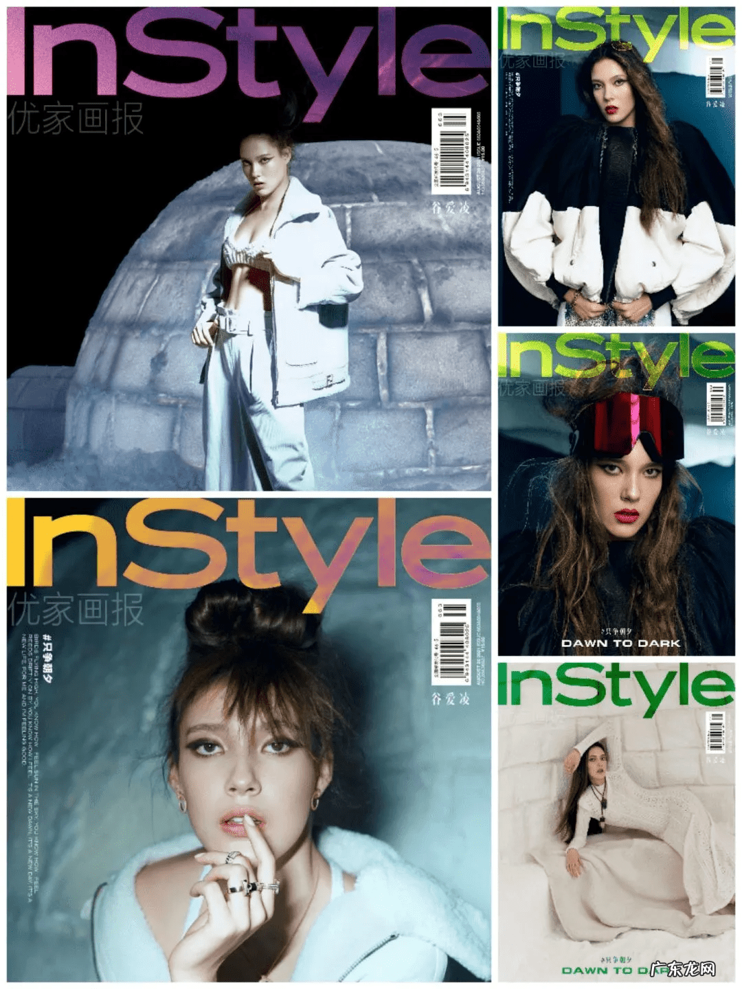 埃尔维斯利猫王 埃尔维斯普雷斯利公司