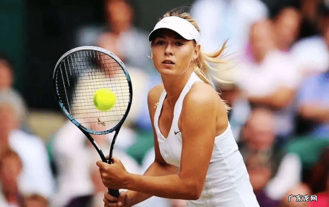 埃尔维斯利猫王 埃尔维斯普雷斯利公司