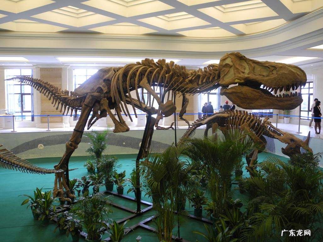 广东有哪些好玩的地方？