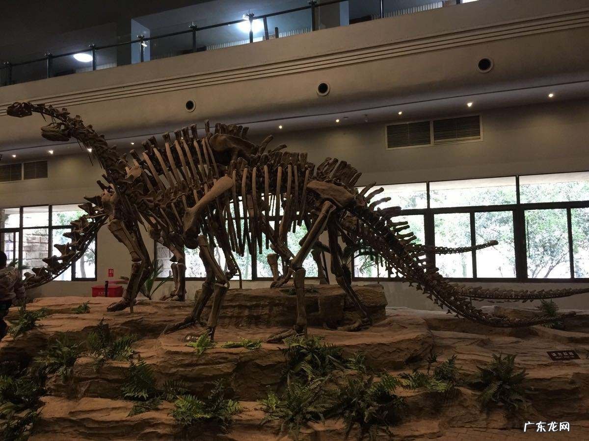 广东有哪些好玩的地方？