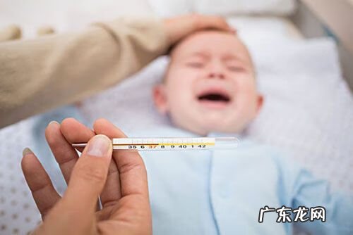 发烧应该吃什么水果 发烧吃什么水果好?