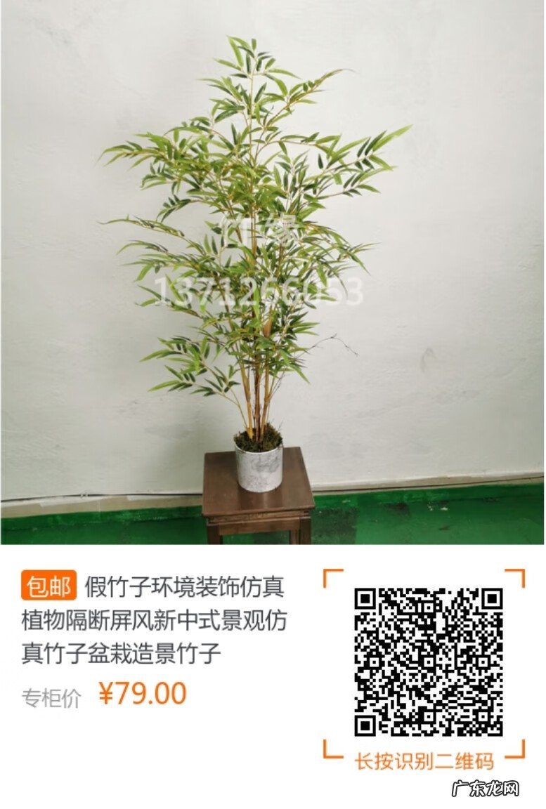 风水左青龙右北虎什么意思 龙竹的风水