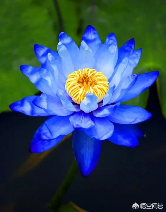 如有来生，你将如何规划人生？