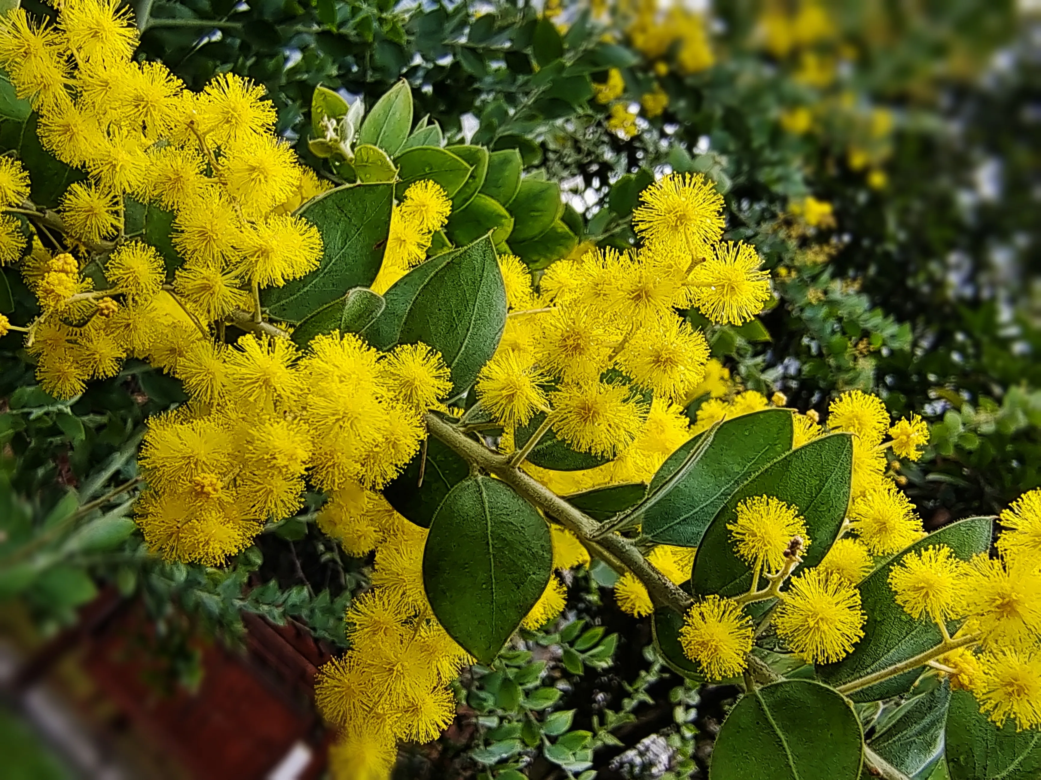 如何用“立春”写一首情景交融的诗？