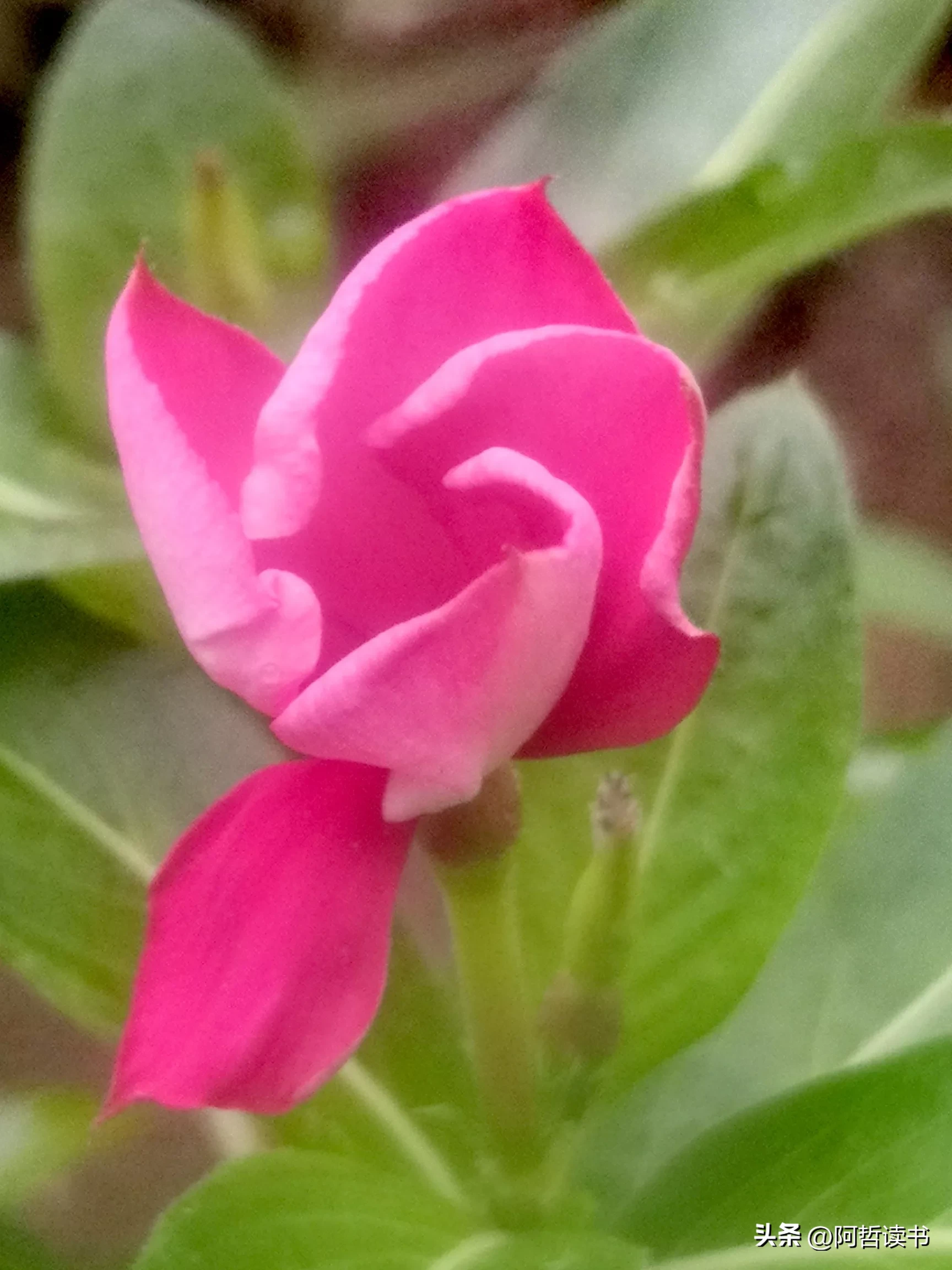 关于教师节,建议更改日期,建议取消,建议强化。您有何高论?