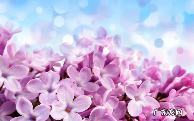 风水如何消砂 朱砂避桃花吗