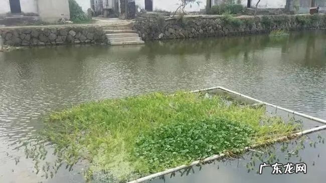 房屋前有鱼塘风水好不 屋前面有鱼塘的风水