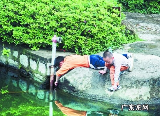 房屋前有鱼塘风水好不 屋前面有鱼塘的风水