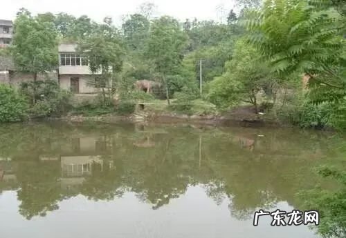 房屋前有鱼塘风水好不 屋前面有鱼塘的风水