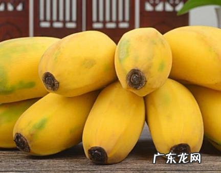 米蕉里面有黑色硬籽可以吃吗 米蕉里面有黑色硬籽可以吃吗有毒吗