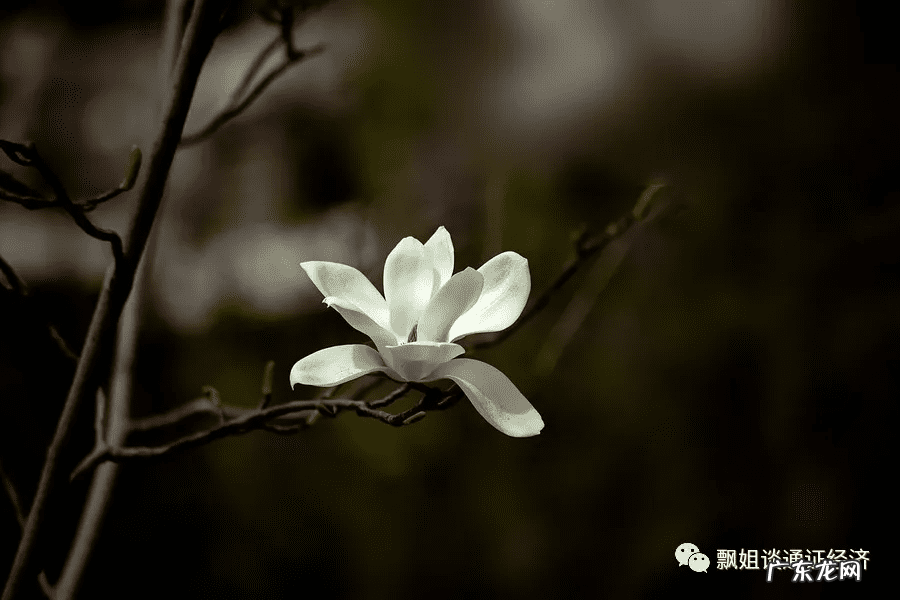 怎么推广自己的店铺 怎么推广商城