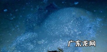 可燃冰是可再生能源吗对此类资源的态度是 可燃冰是一种天然气水合物其中的主要化学成分是什么