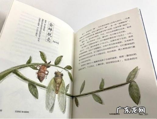 法布尔的昆虫记被誉为什么 《昆虫记》被誉为什么