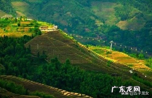 工作中如何做到爱岗敬业？