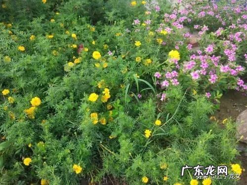 工作中如何做到爱岗敬业？