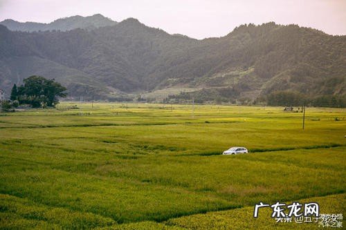 工作中如何做到爱岗敬业？