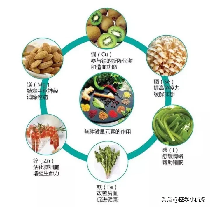 天天吃肉的人与不吃肉的人，身体健康有什么区别？