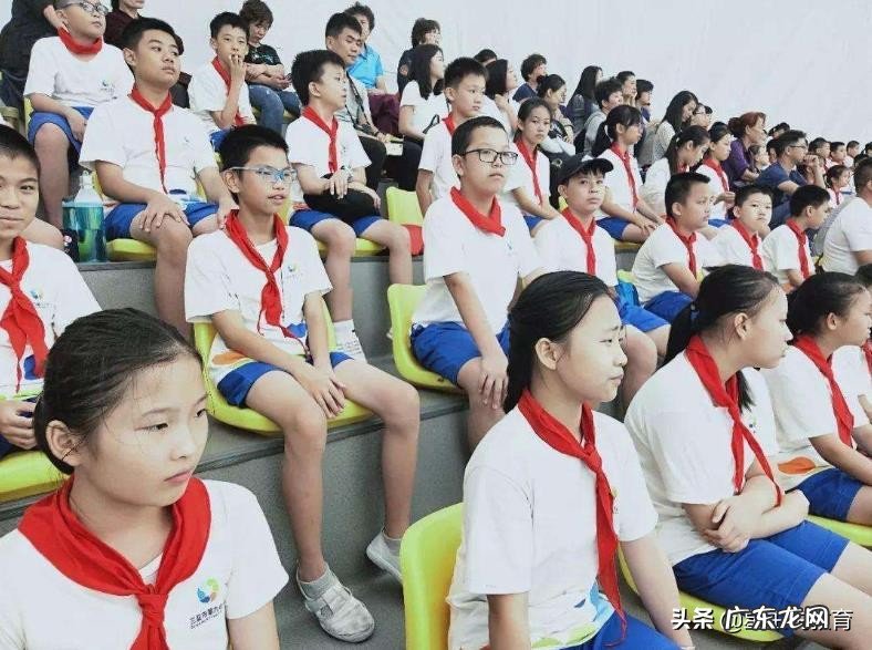 小学生粗心、佛系、无条理,应该怎么引导?