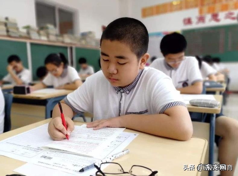 小学生粗心、佛系、无条理,应该怎么引导?