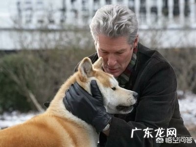 如何评价电影《一条狗的使命2》?_2