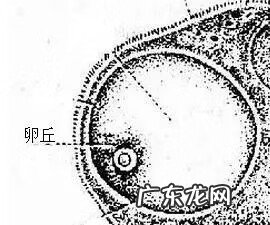 卵泡大小正常范围 正常卵泡大小是多少x多少mm