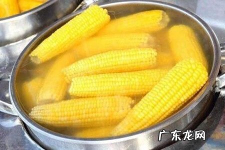 煮玉米正确方法及时间 煮玉米需要多长时间才能熟