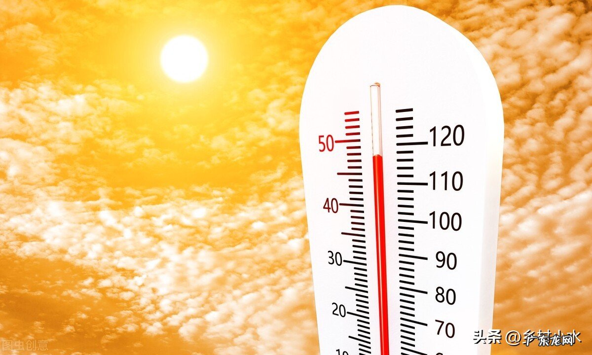 “处暑不出头,割了喂老牛”,老话有理吗?今年什么时候处暑?