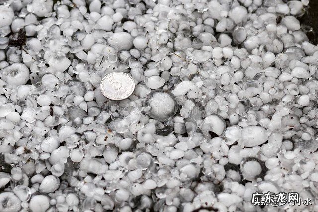 “处暑不出头，割了喂老牛”，老话有理吗？今年什么时候处暑？