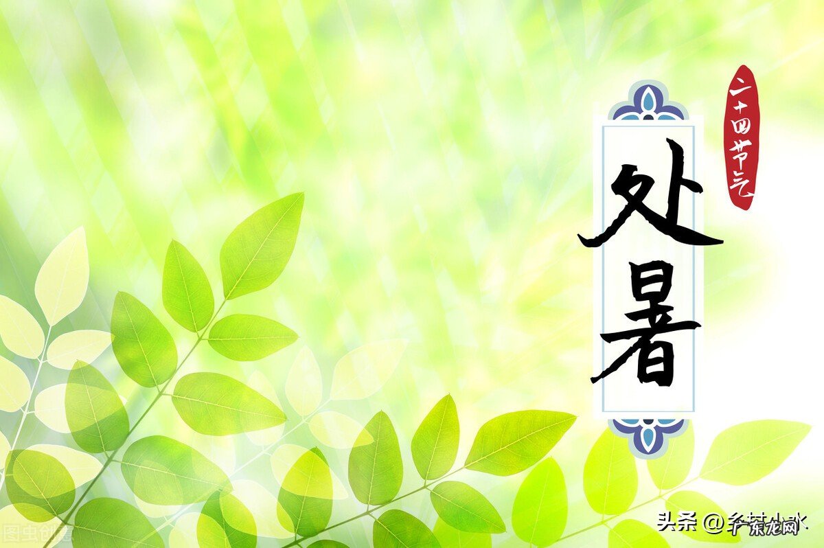 “处暑不出头,割了喂老牛”,老话有理吗?今年什么时候处暑?