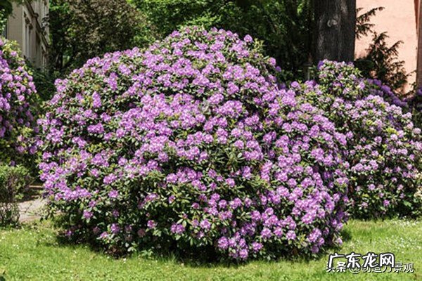 古朴禅意院子 院子东方风水