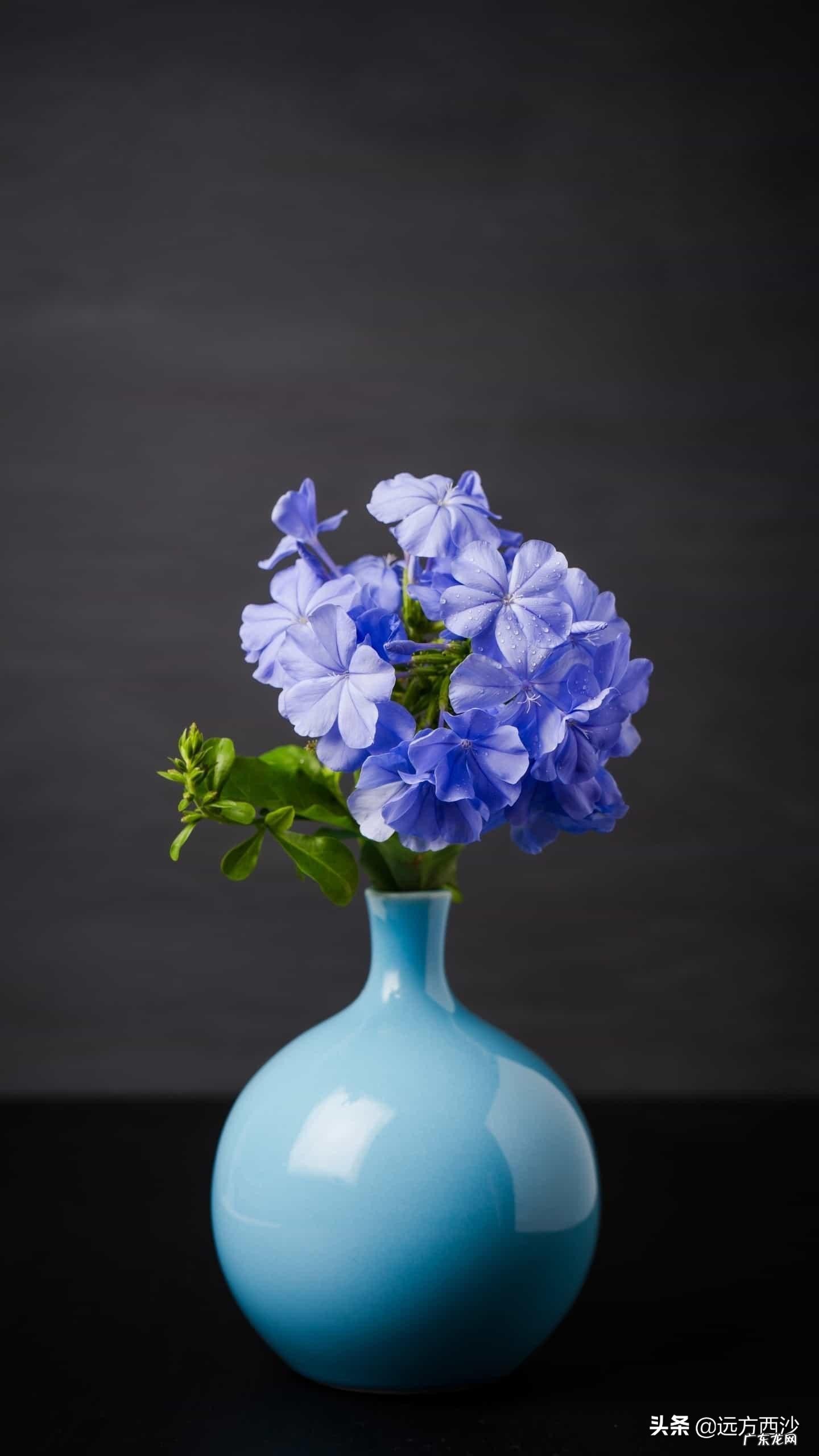 如何改变自己的思维模式,像成功者一样看问题?