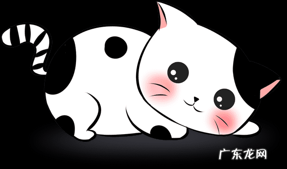 雅思怎么考 如何考雅思托福