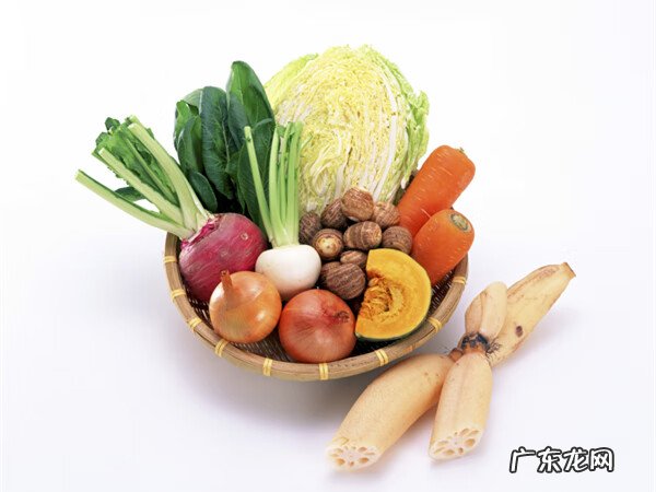 野生葛粉的性能和作用 野生葛粉的作用