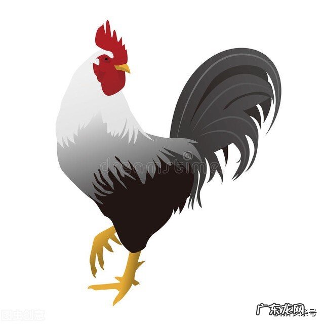 属蛇人最喜欢和谁在一起?