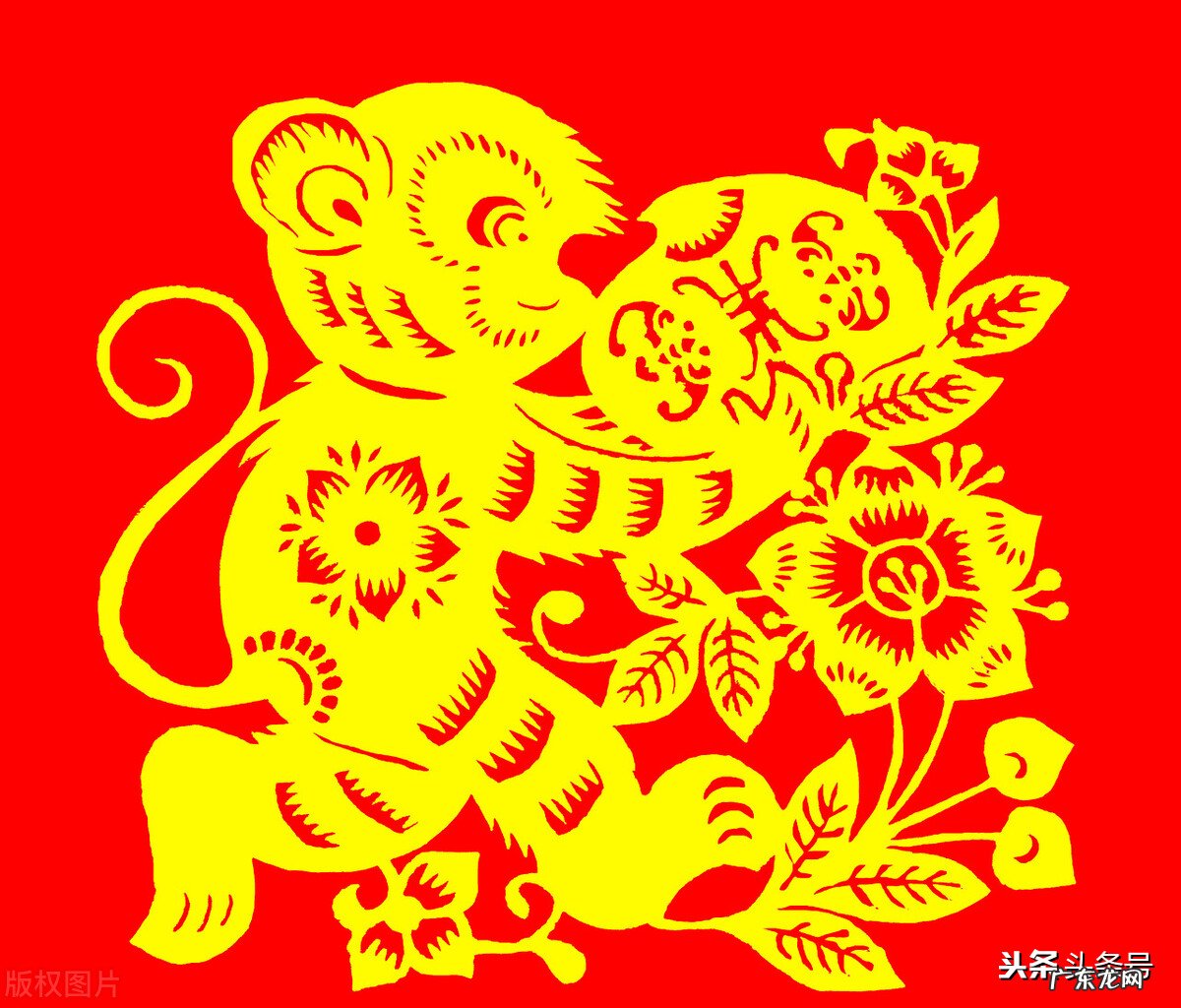 属蛇人最喜欢和谁在一起?