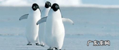 什么食物是肝脏的“保镖”,吃半个月,降酶护肝?