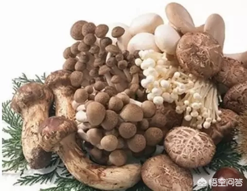 什么食物是肝脏的“保镖”，吃半个月，降酶护肝？