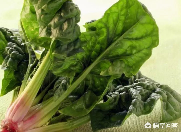 什么食物是肝脏的“保镖”,吃半个月,降酶护肝?