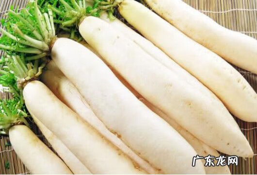 怎么熬白萝卜水治咳嗽 白萝卜治咳嗽的做法及功效