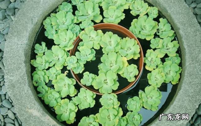 风水地的土是啥样 风水井的作用