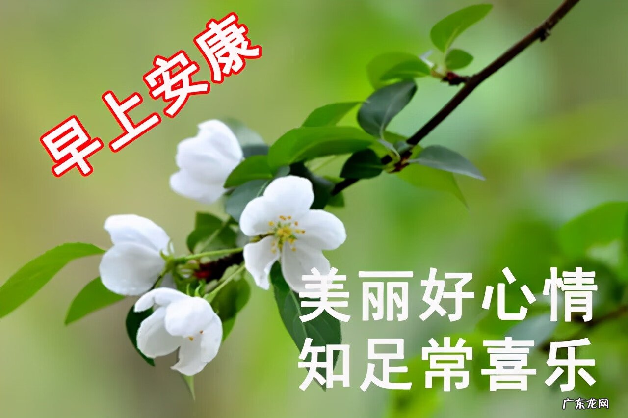 早晨太阳山水风景图片 早上好的阳光图片