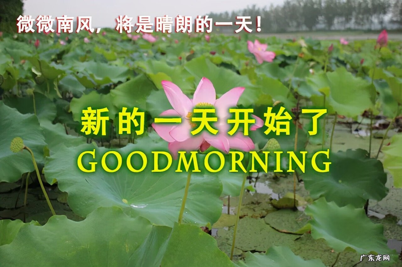 早晨太阳山水风景图片 早上好的阳光图片