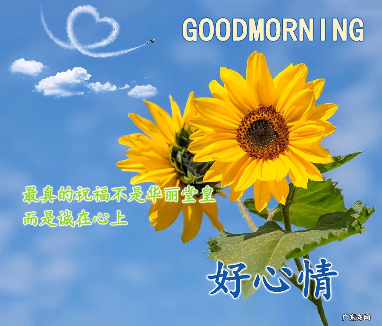 早晨太阳山水风景图片 早上好的阳光图片